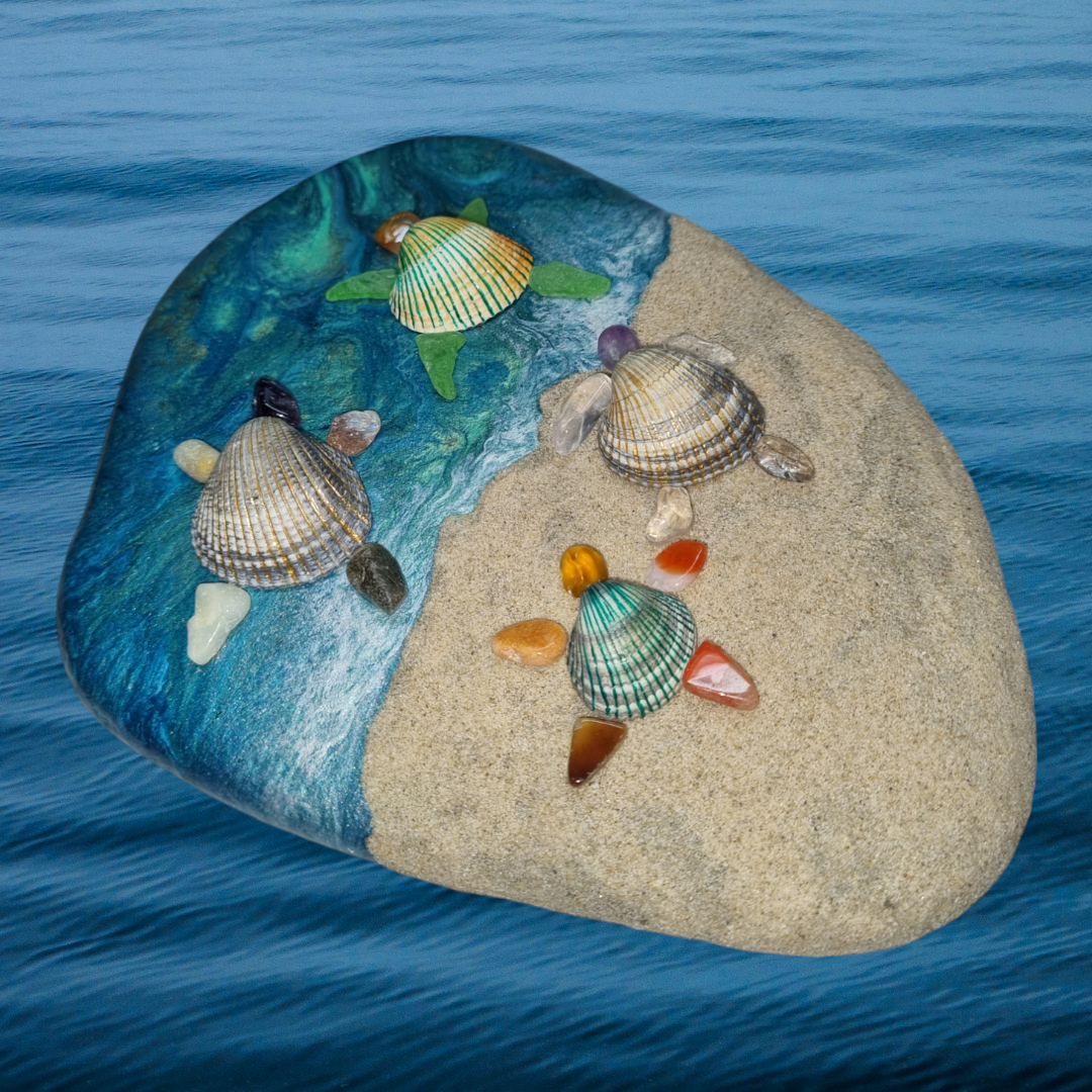 Shell seaglass sand stone turtles